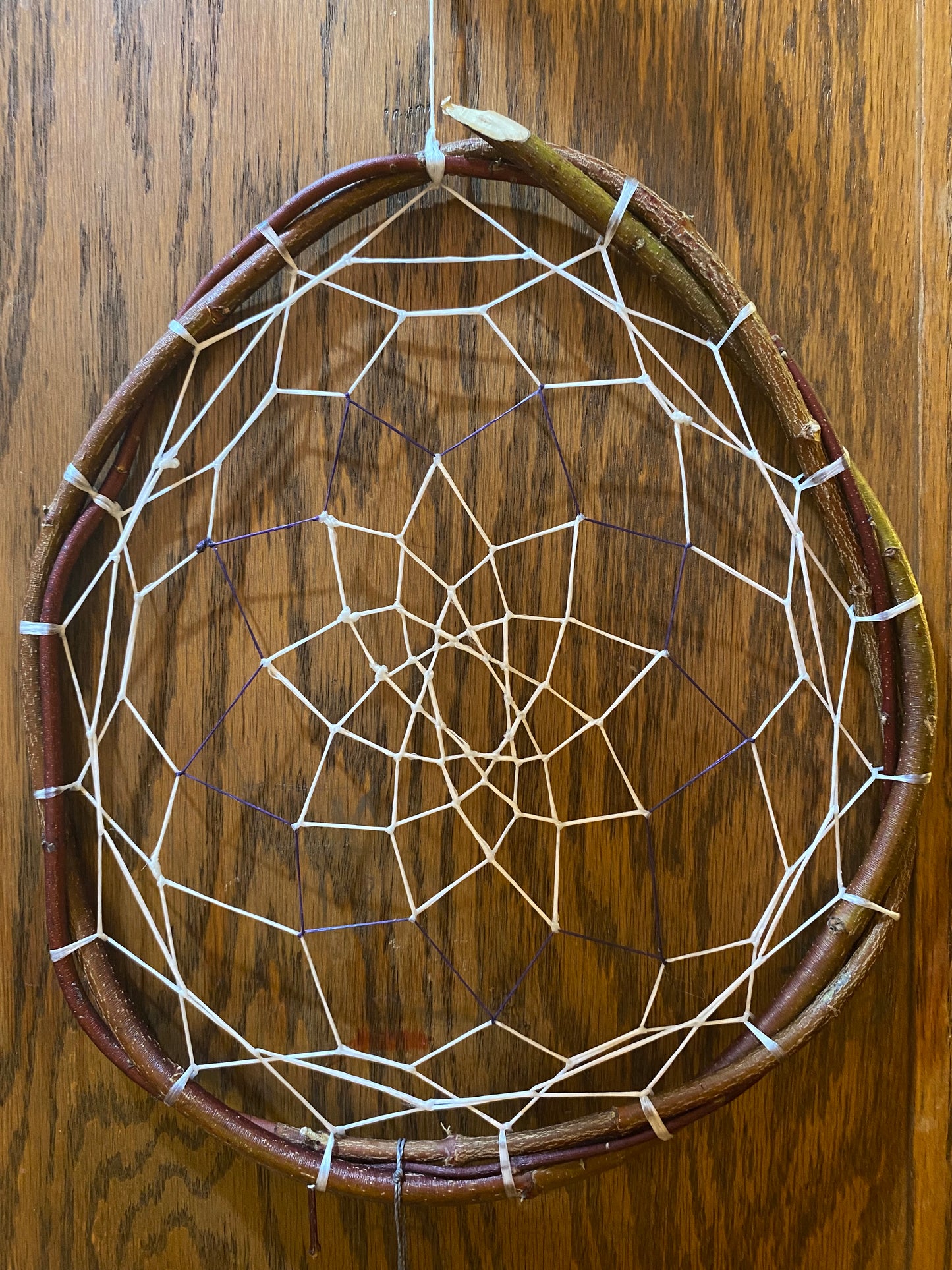 Authentic Ojibwe Dreamcatcher Handcrafted by a Bad River Healer (Gift for Donation)