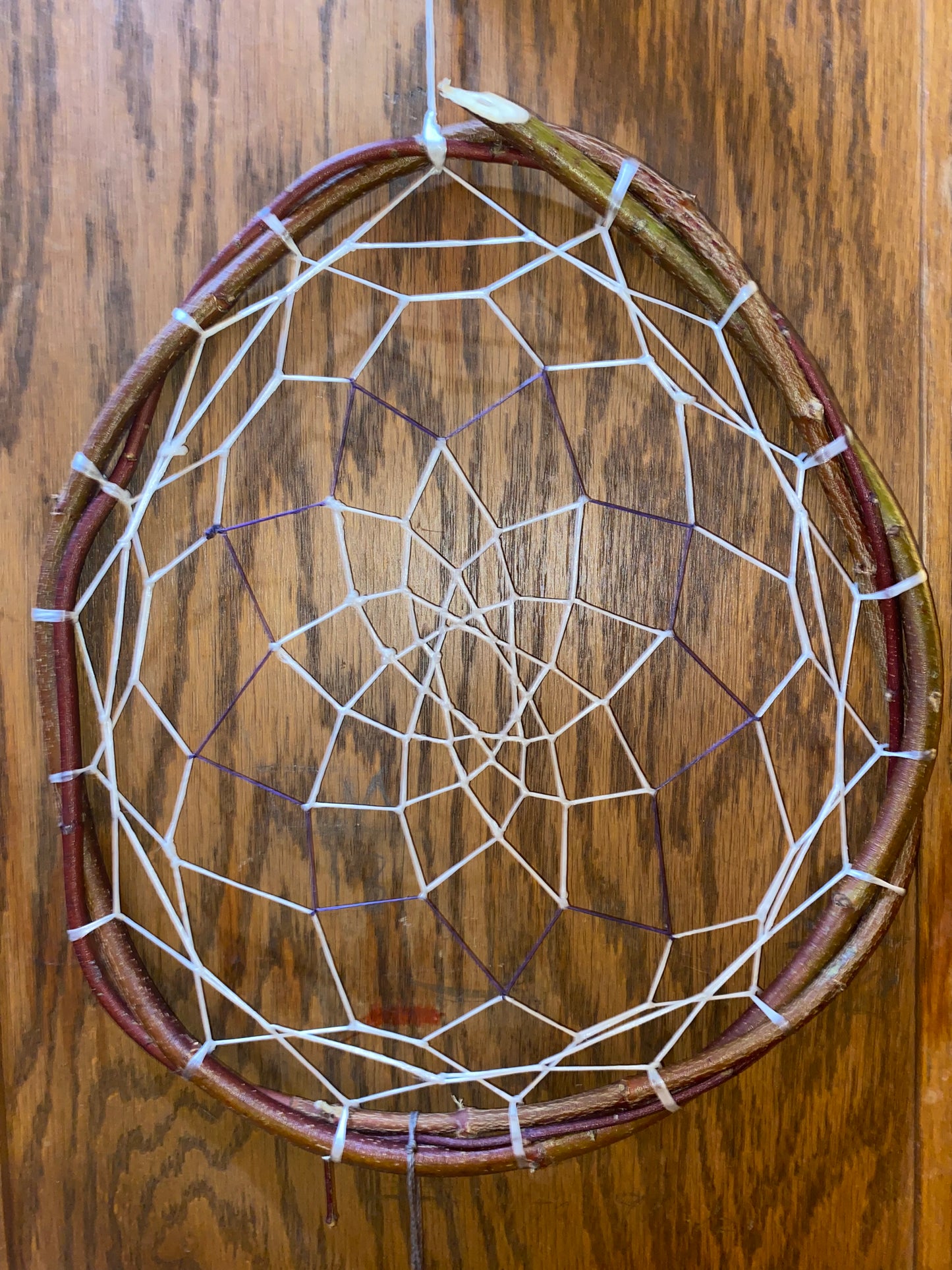 Authentic Ojibwe Dreamcatcher Handcrafted by a Bad River Healer (Gift for Donation)